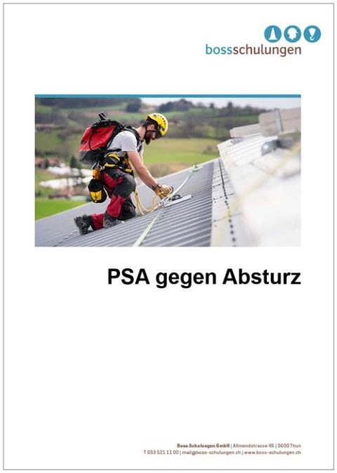 Handbuch PSA gegen Absturz